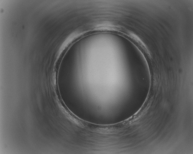 X0000062871376200601171410