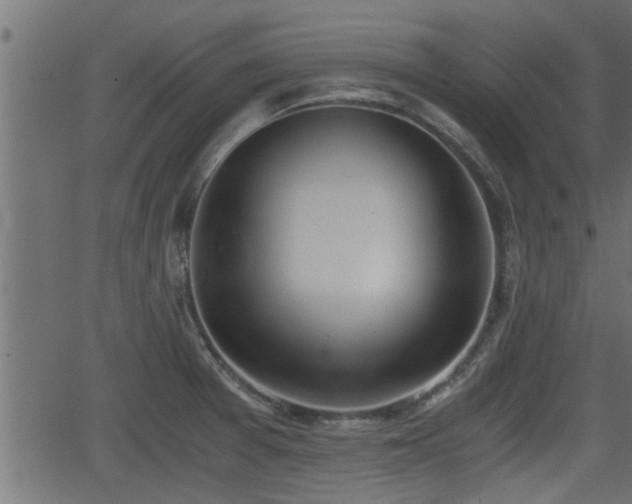 X0000062871377200601171410