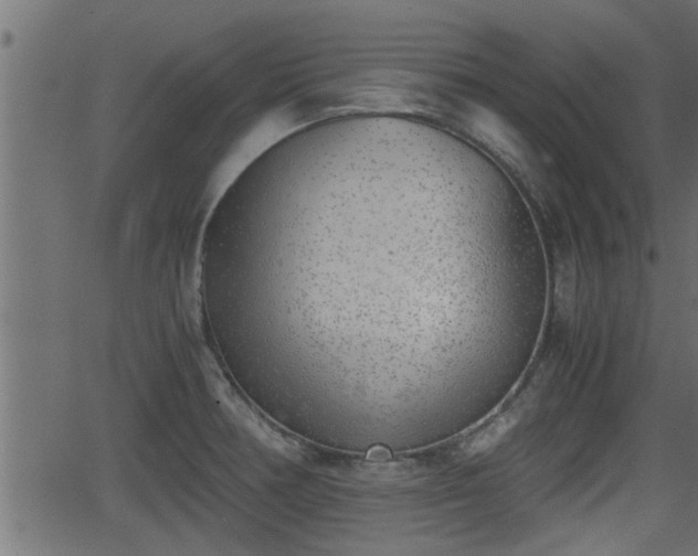 X0000062871378200601171410