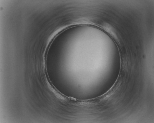 X0000062871380200601171410