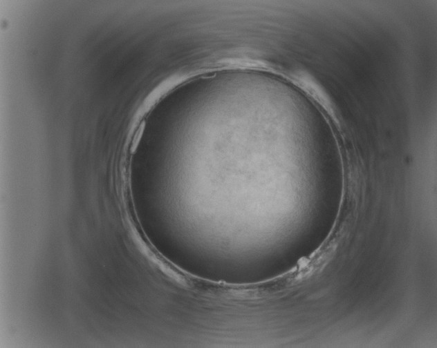 X0000062871381200601171410