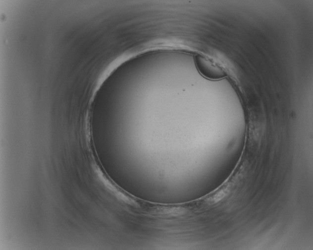 X0000062871382200601171410