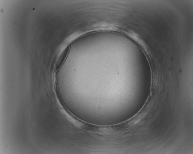 X0000062871383200601171410