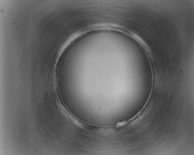 X0000062871384200601171410