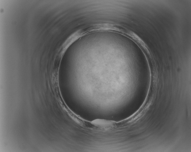 X0000062871385200601171410