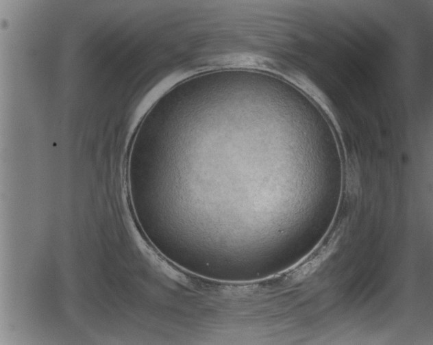 X0000062871389200601171410