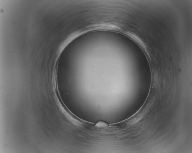 X0000062871391200601171410