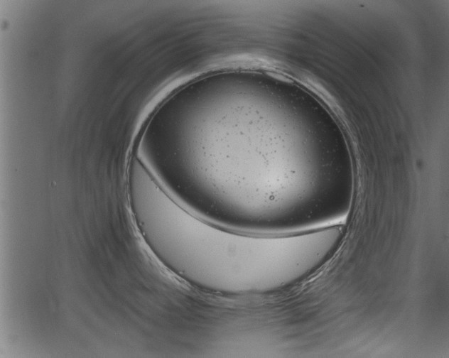 X0000062871392200601171410