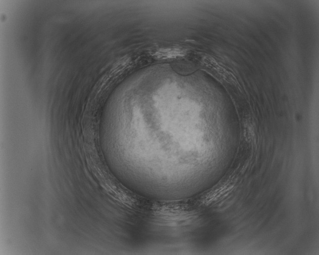 X0000062871393200601171409