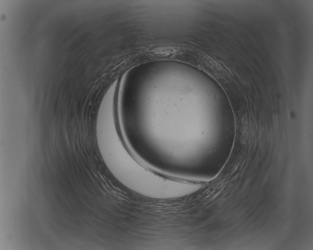 X0000062871394200601171409