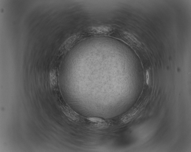 X0000062871395200601171409