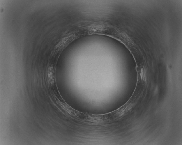 X0000062871396200601171409