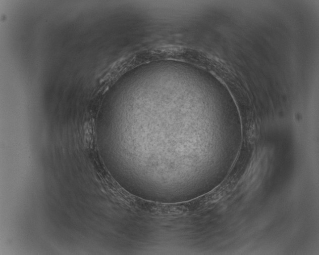 X0000062871397200601171409