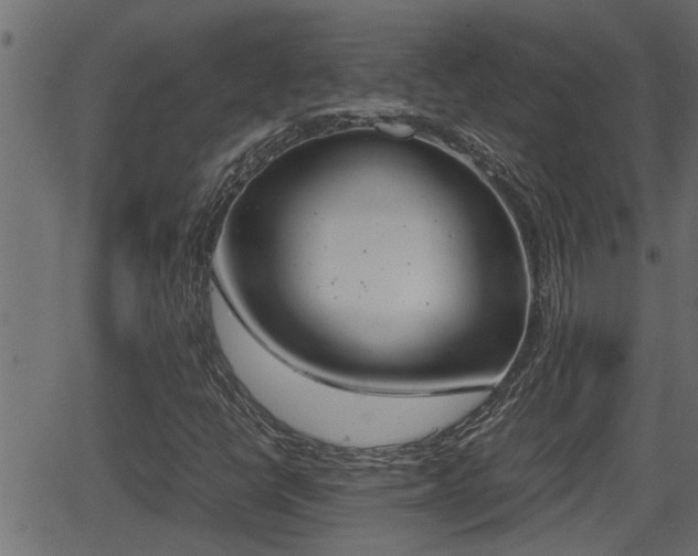 X0000062871398200601171409