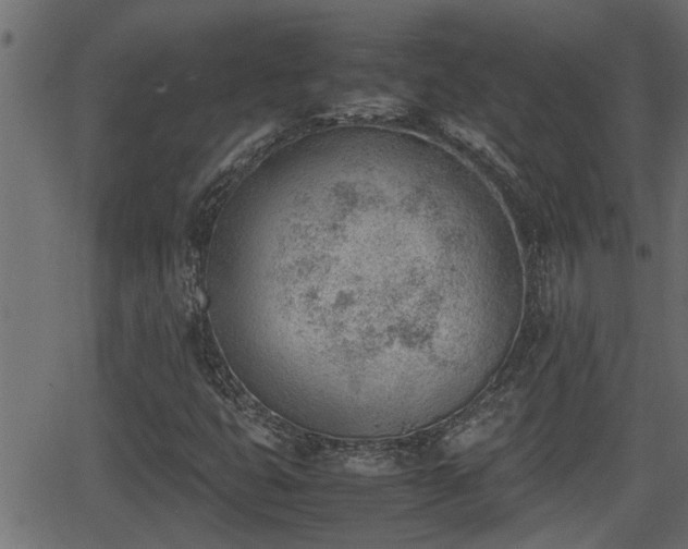 X0000062871399200601171409