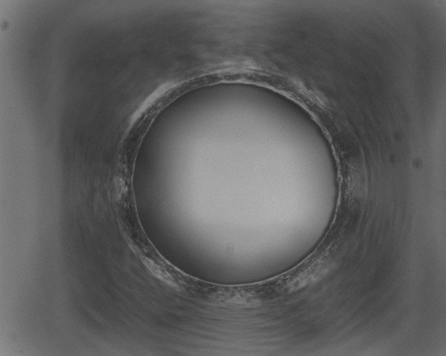 X0000062871400200601171409