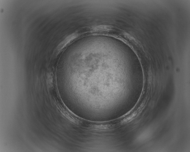 X0000062871401200601171409