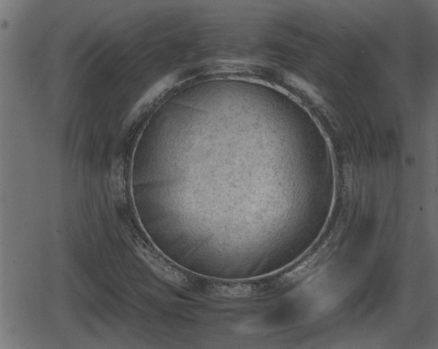 X0000062871403200601171409