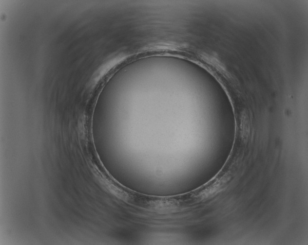 X0000062871404200601171409