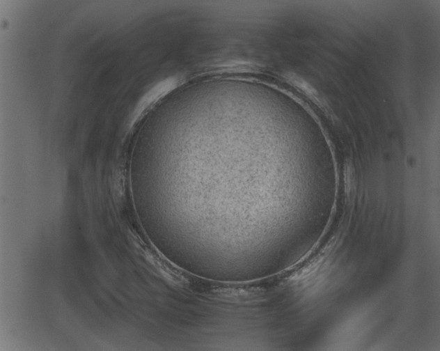 X0000062871405200601171409