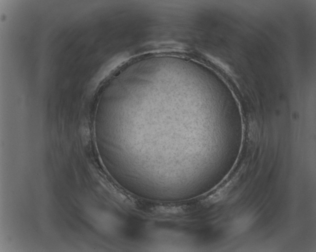 X0000062871407200601171409