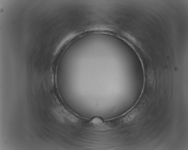 X0000062871408200601171409