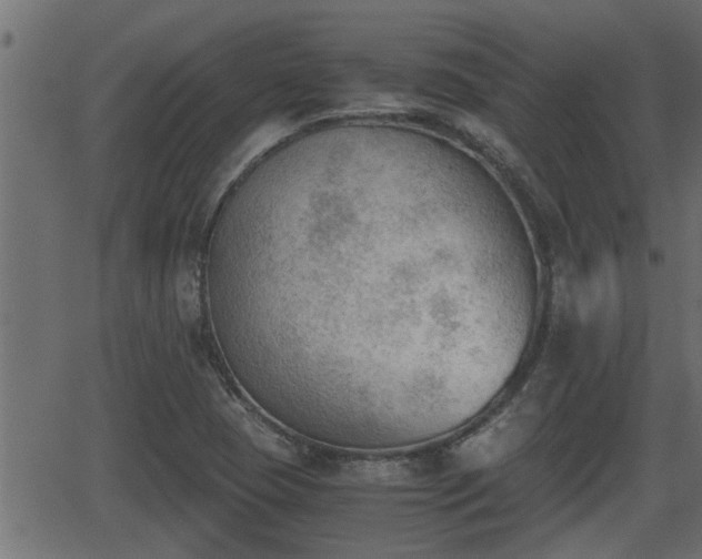 X0000062871409200601171409