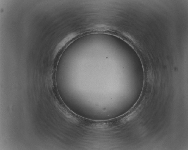 X0000062871410200601171409