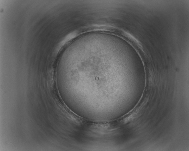 X0000062871411200601171409