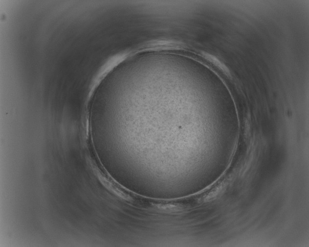 X0000062871413200601171409