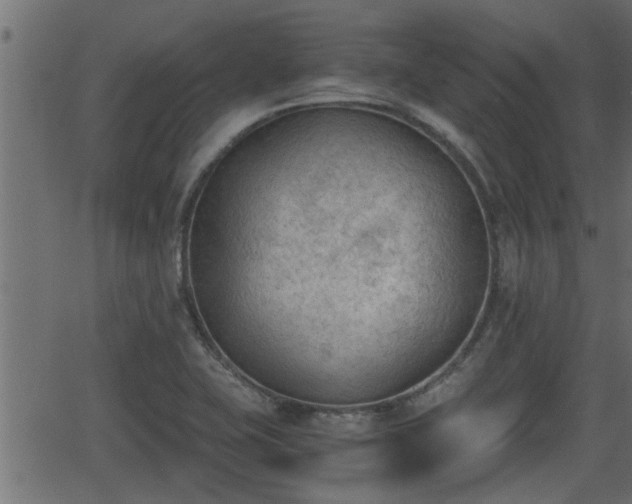 X0000062871415200601171409