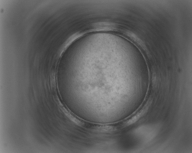 X0000062871417200601171409