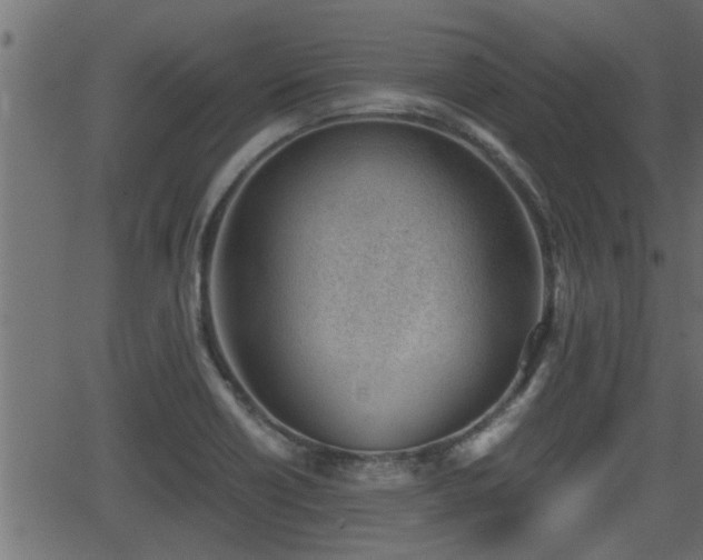 X0000062871418200601171409