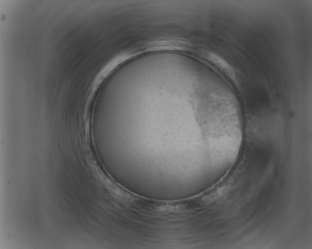 X0000062871419200601171409