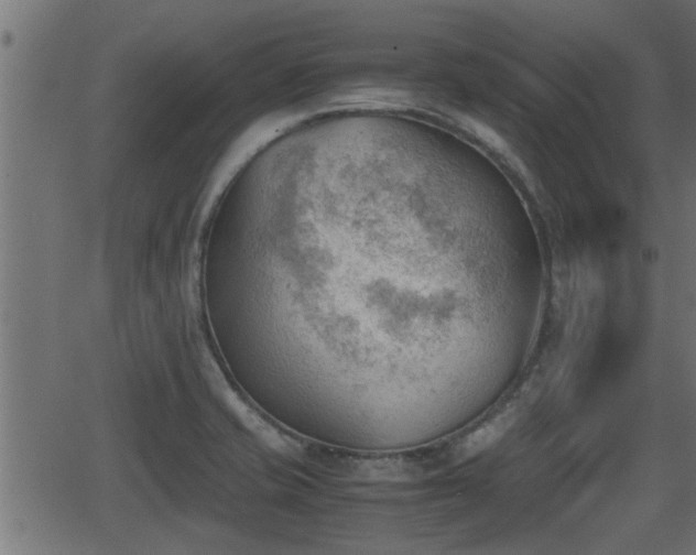 X0000062871421200601171409