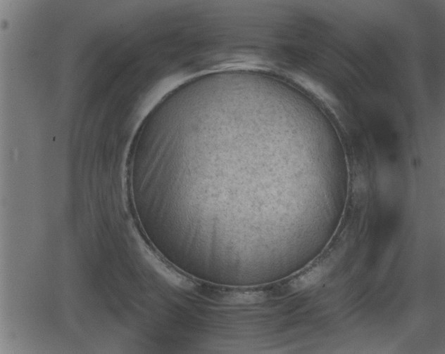 X0000062871423200601171409