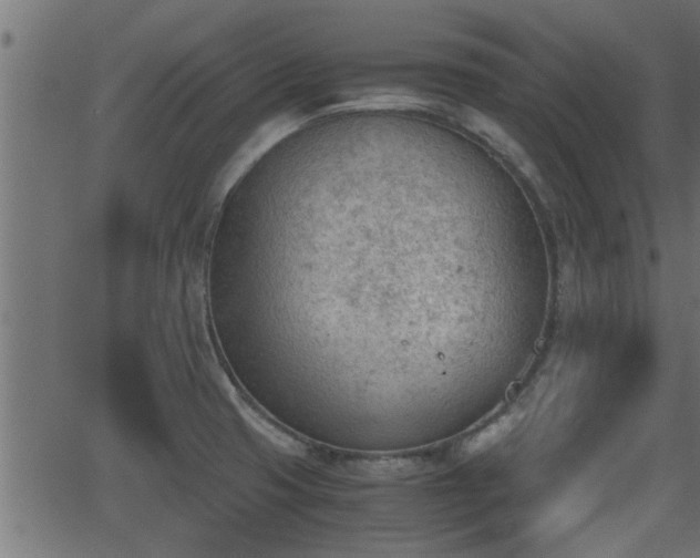 X0000062871425200601171409