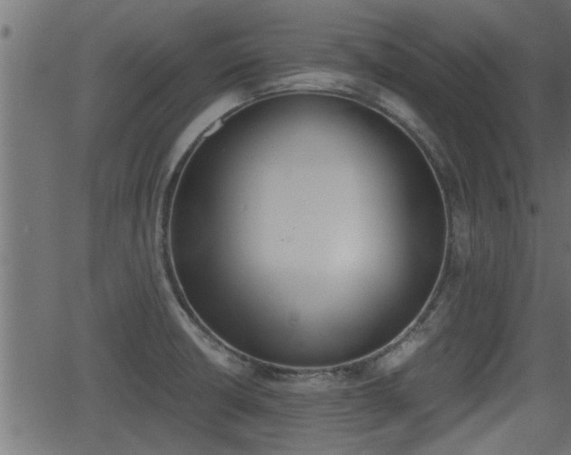 X0000062871426200601171410