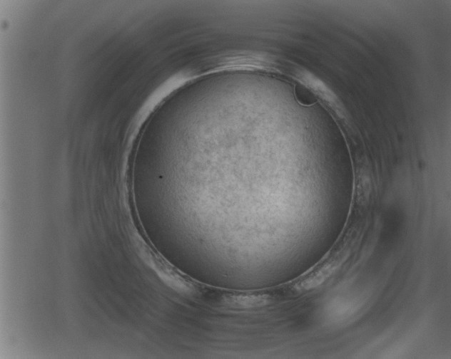 X0000062871427200601171410