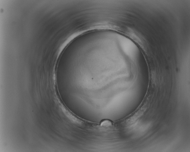 X0000062871428200601171410