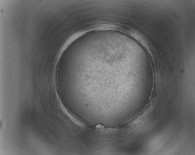 X0000062871429200601171410