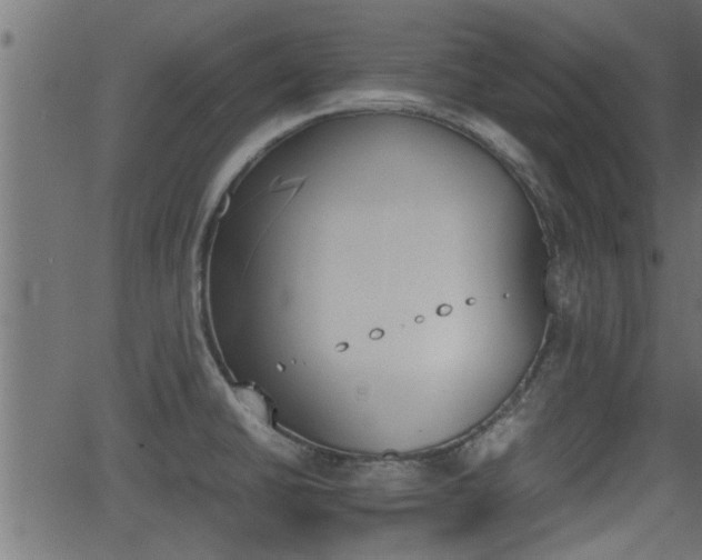 X0000062871430200601171410