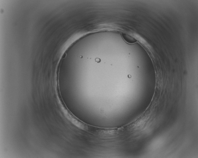 X0000062871431200601171410