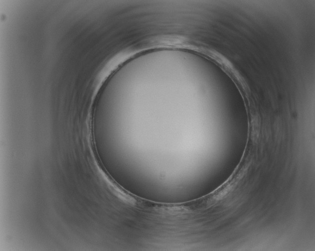 X0000062871432200601171410