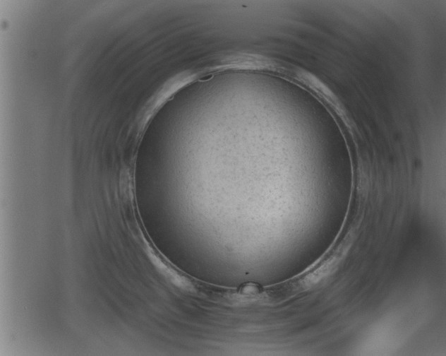 X0000062871433200601171410