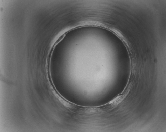 X0000062871438200601171410