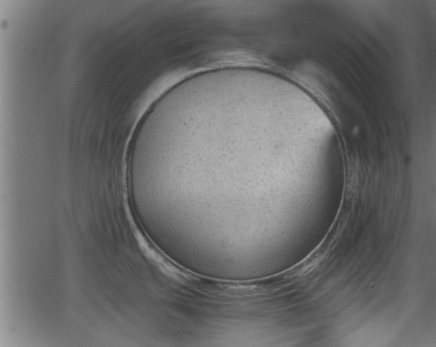 X0000062871439200601171410