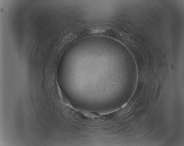 X0000062871441200601171409