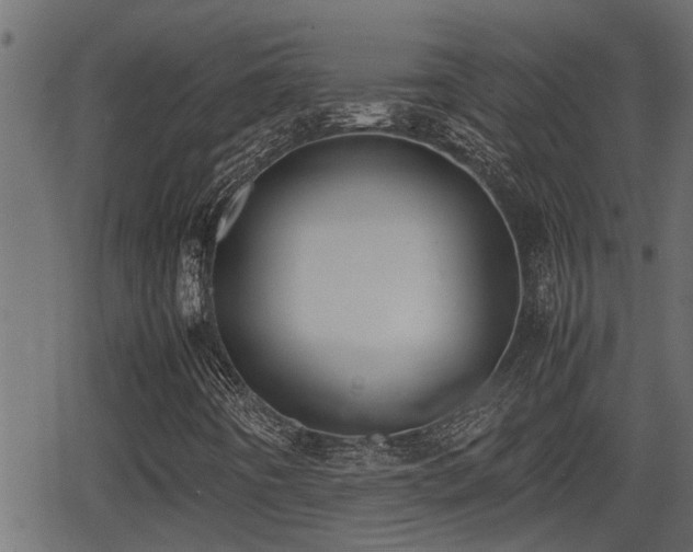 X0000062871442200601171409