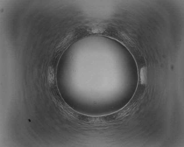 X0000062871443200601171409